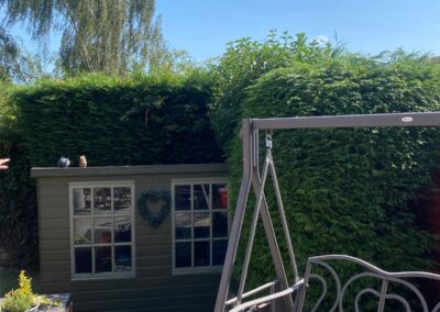 midlands gardening 15