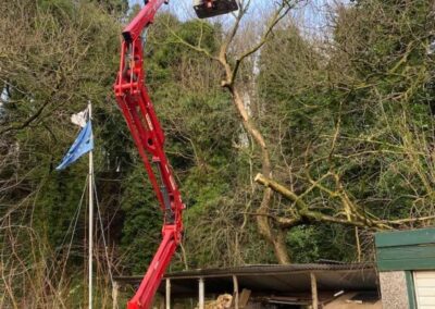 midlands gardening 20