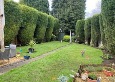 midlands gardening 24