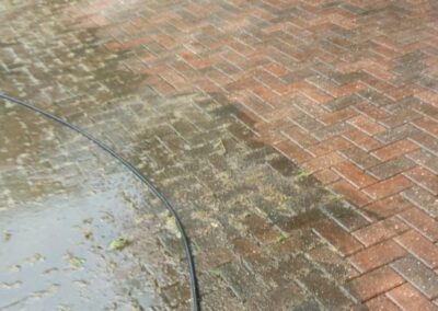 midlands gardening 25