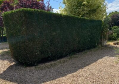 midlands gardening 3