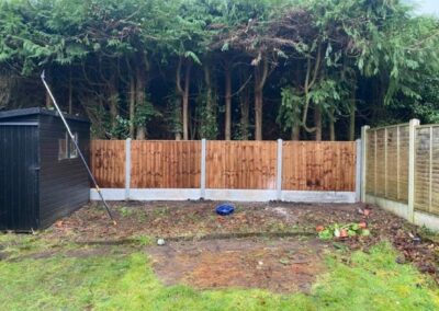 midlands gardening 34